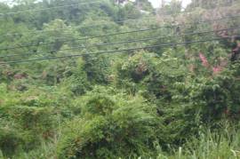 Residential Lot for Sale in Kingston 19