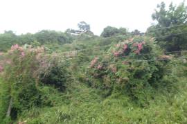 Residential Lot for Sale in Kingston 19