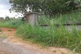 Residential Lot for Sale in Mandeville