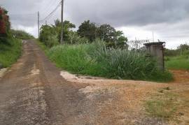 Residential Lot for Sale in Mandeville