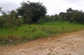 Residential Lot for Sale in Mandeville