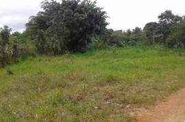 Residential Lot for Sale in Mandeville