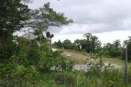 Residential Lot for Sale in Mandeville