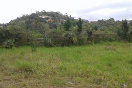 Residential Lot for Sale in Mandeville