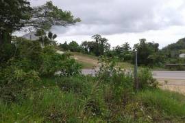 Residential Lot for Sale in Mandeville