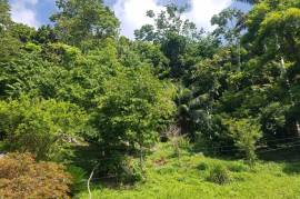 Residential Lot for Sale in Port Maria