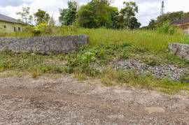 Residential Lot for Sale in Mandeville