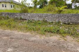 Residential Lot for Sale in Mandeville