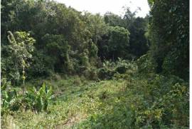 Residential Lot for Private in Montego Bay