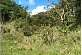 Residential Lot for Private in Montego Bay
