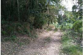 Residential Lot for Private in Montego Bay