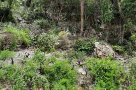 Residential Lot for Sale in Red Hills