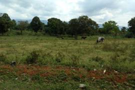 Residential Lot for Sale in Santa Cruz