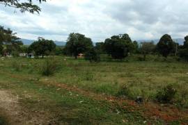 Residential Lot for Sale in Santa Cruz