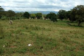 Residential Lot for Sale in Santa Cruz