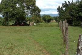 Residential Lot for Sale in Santa Cruz