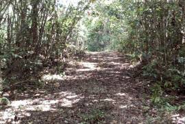 Residential Lot for Sale in Ocho Rios