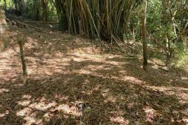 Residential Lot for Sale in Green Island