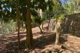 Residential Lot for Sale in Green Island