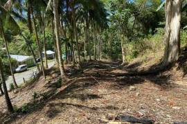 Residential Lot for Sale in Green Island