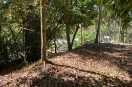 Residential Lot for Sale in Green Island