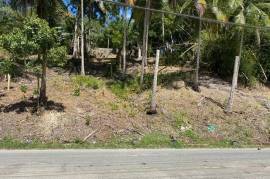 Residential Lot for Sale in Green Island