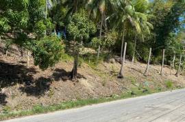 Residential Lot for Sale in Green Island