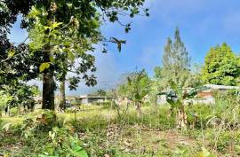 Residential Lot for Sale in Bog Walk