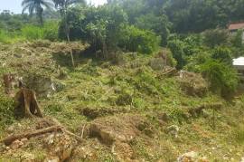 Residential Lot for Sale in Kingston 9