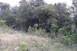 Residential Lot for Sale in Falmouth