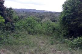 Residential Lot for Sale in Falmouth