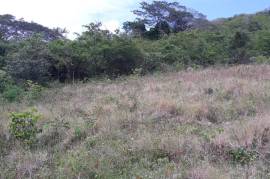 Residential Lot for Sale in Falmouth