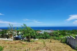 Residential Lot for Sale in Tower Isle