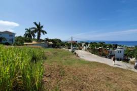 Residential Lot for Sale in Tower Isle