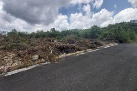 Residential Lot for Sale in Tower Isle