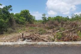 Residential Lot for Sale in Tower Isle