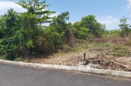 Residential Lot for Sale in Tower Isle