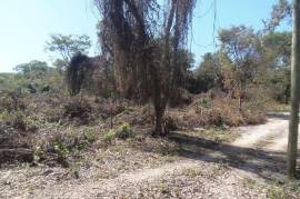 Residential Lot for Sale in Negril