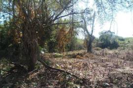 Residential Lot for Sale in Negril