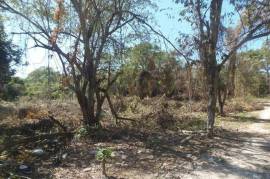 Residential Lot for Sale in Negril