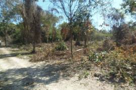 Residential Lot for Sale in Negril