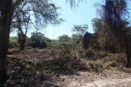 Residential Lot for Sale in Negril