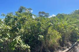 Residential Lot for Sale in Discovery Bay