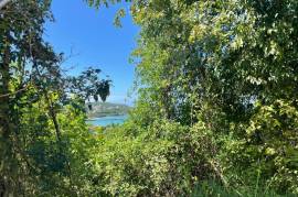 Residential Lot for Sale in Discovery Bay