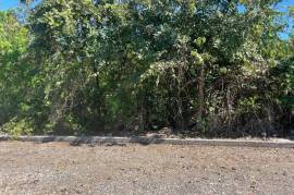 Residential Lot for Sale in Discovery Bay