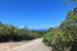 Residential Lot for Sale in Discovery Bay