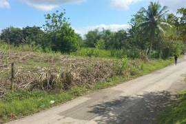 Residential Lot for Sale in Montego Bay