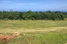 Residential Lot for Sale in Boscobel