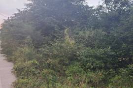 Residential Lot for Sale in Montego Bay