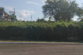 Residential Lot for Sale in Negril